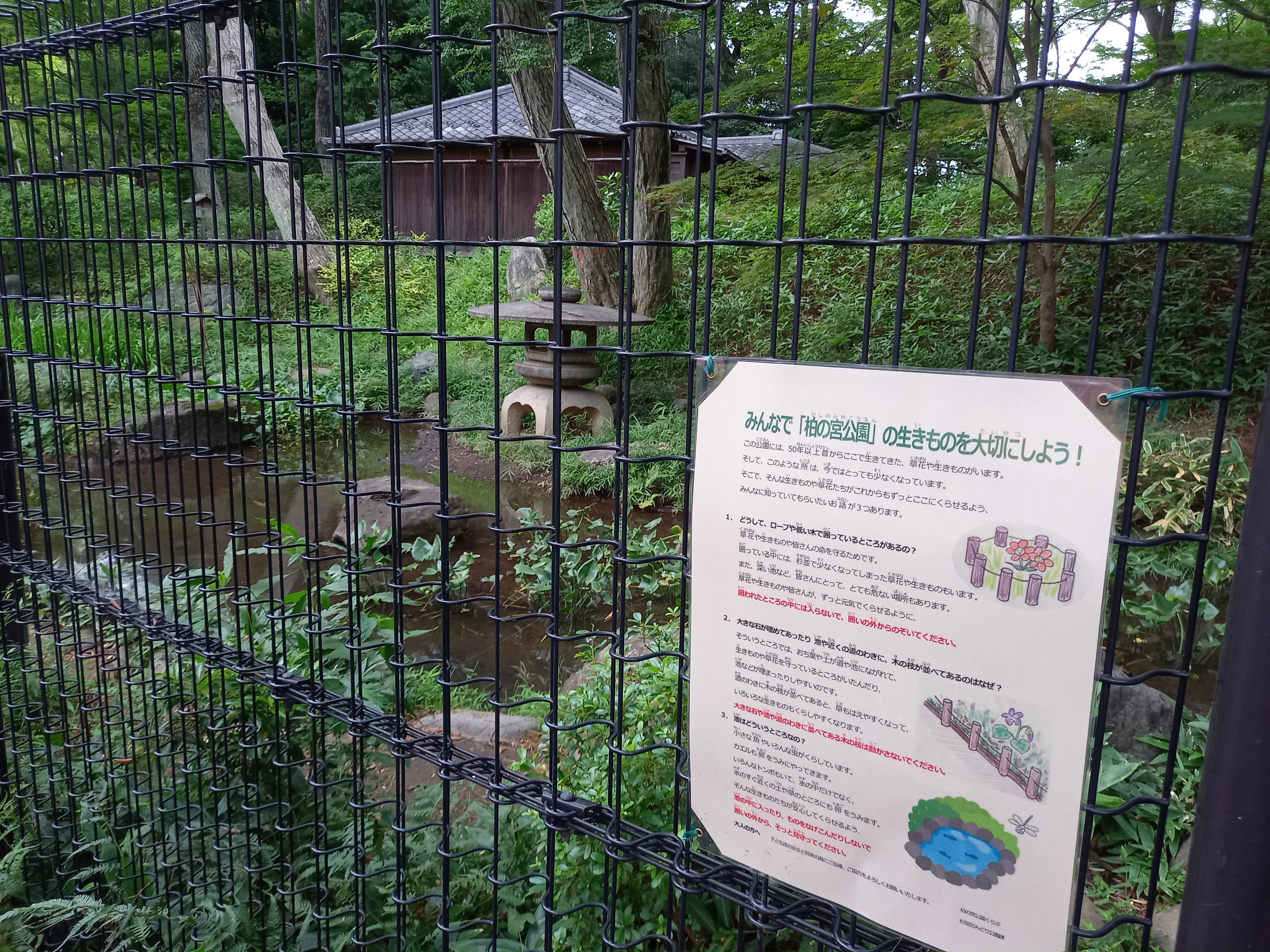 توییتر 三浦靖雄 در توییتر 登録3号は浜田山の柏の宮公演の 公園の生き物を大切にしよう のお願い 保護エリアがある公園で植物 や生き物を守るようになっています 使用素材はその名も 池 いらすとや いらすとやマッピング いらすとやマップ