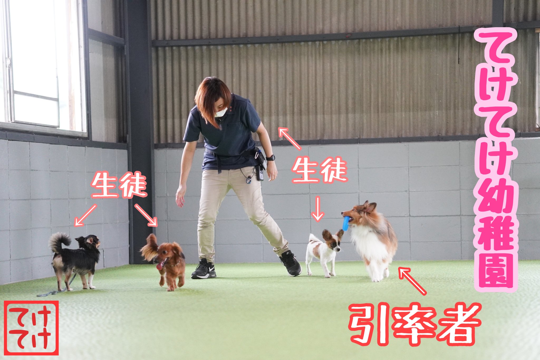 ウェルネスドッグパーク てけてけ ウェルネスドッグパークてけてけ 倉敷ドッグラン 倉敷ドッグカフェ 幼稚園 犬好きさんと繋がりたい 可愛いが渋滞中 T Co Qypm2sssjg Twitter