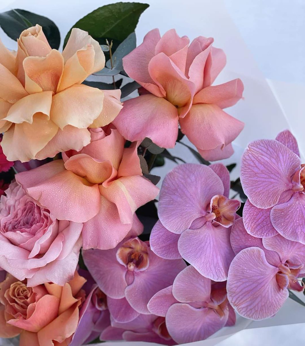 RubyOakFlorist's tweet photo. Pop of colour, always 💜
Delivering beauties like this Tuesday to Saturday throughout the Illawarra
#freshflowerdelivery #premiumflowers #tulips #roses #orchids #flowerdelivery #illawarraflowerdelivery #giftsdeliveredwollongong #birthdayflowers #wollongongbusiness https://t.co/C14lRBt5ur