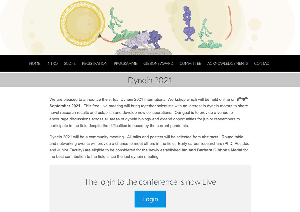 Login to Dynein2021 is now LIVE! dynein2021.org Monday/Tuesday - Poster Viewing Wedneday 8th/Thursday 9th - Live Sessions