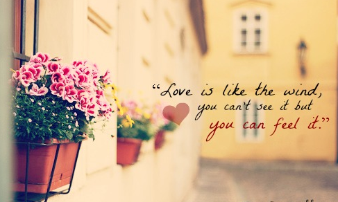 Thang Nam (@thangnam12) on Twitter photo 