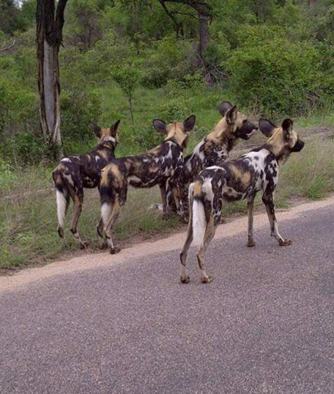 Izinja ze game!😁😁👌🏿👌🏿👌🏿