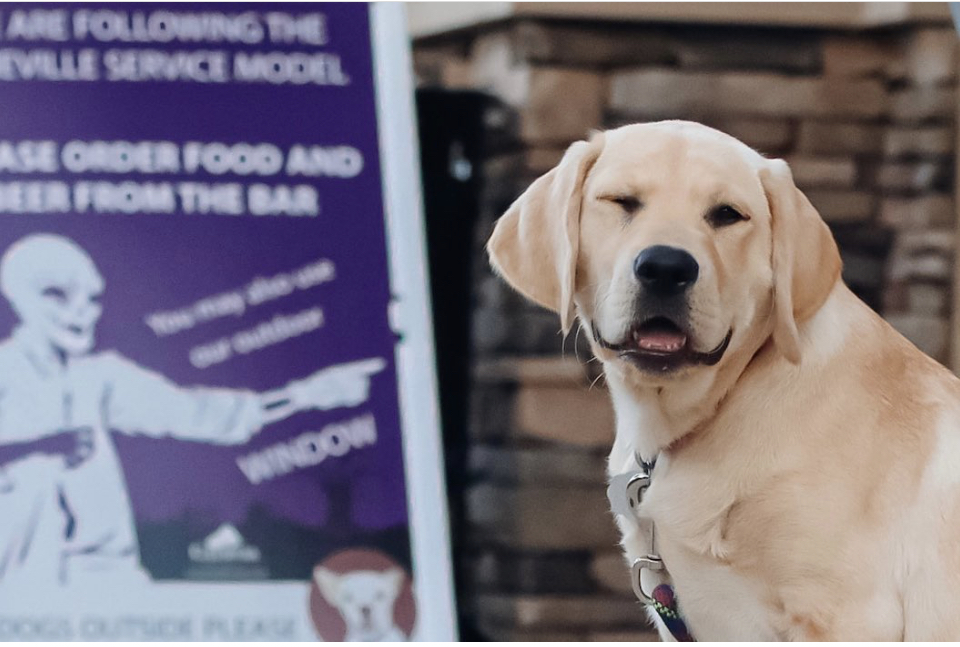 😜 🐕  Our face when we realize it's a 3 day weekend. Happy Labor Day everyone! Take a load off at any of our tasting rooms today! We're all open during our regular business hours! Or grab a 6pack of White Zombie at your local grocery store for your Labor Day Shenanigans.