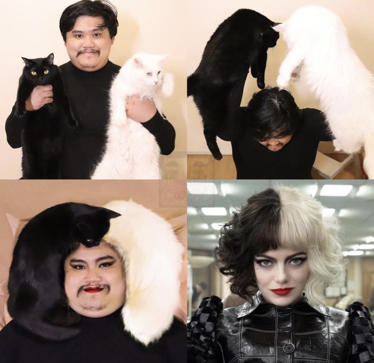 Sarah Rauf (@SarahRauf6) | Twitter