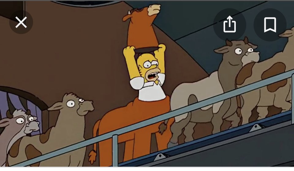 the_soks's tweet photo. @ScottAukerman homer as a cow. #cbb @ComedyBangBang https://t.co/6jdVyr1Fug