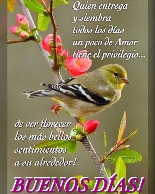 #FelizComienzoDeSemana
#DiosLosBendiga