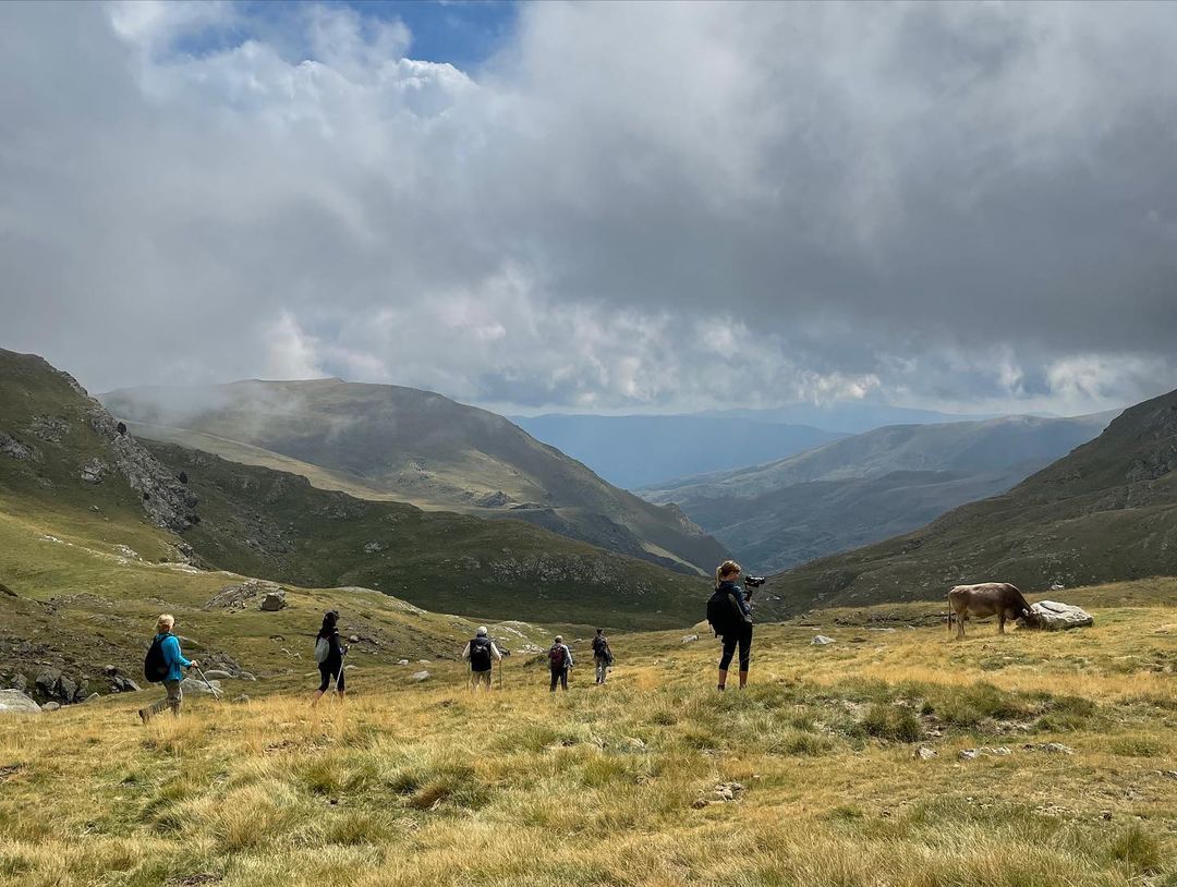 Festivals Senderisme Pirineus tweet media