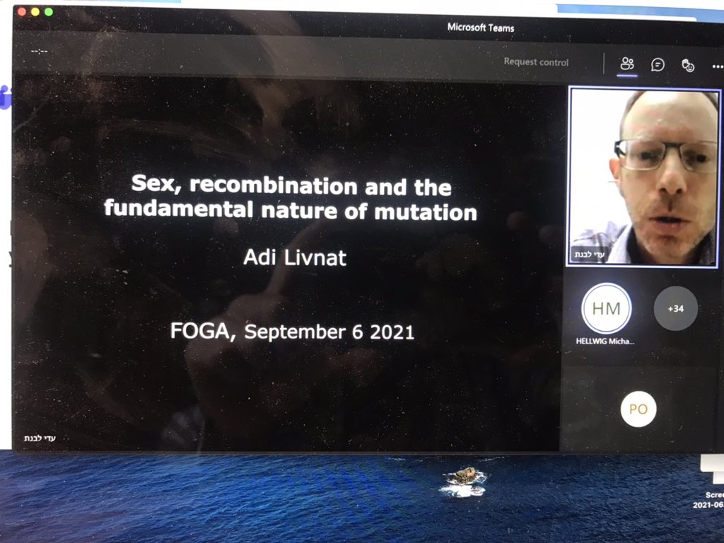The first <a href="/foga2021/">FOGA2021</a> keynote talk will start in half an hour