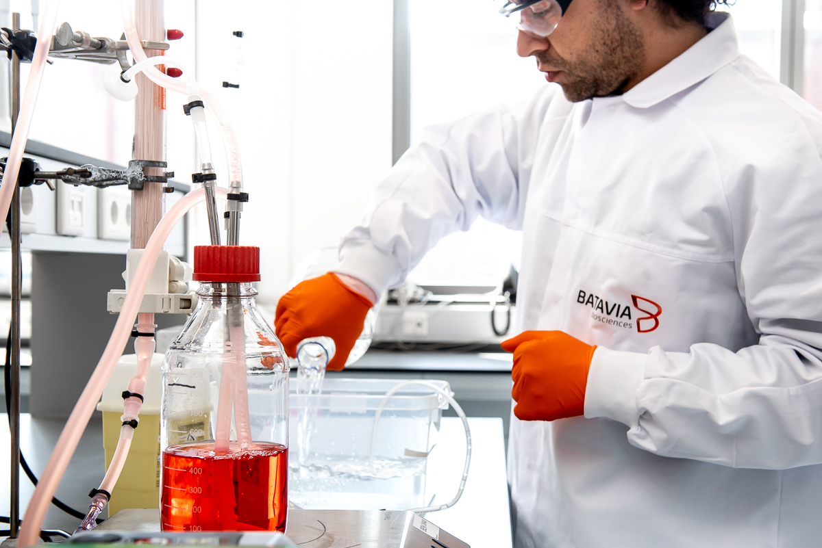 #ScientificPublication: We are proud to announce that the peer-reviewed journal Biologicals has now published our work on the stable high yield expression of an HIV envelope protein using our STEP technology. #proteinexpression #CDMO

bataviabiosciences.com/media/stable-h…