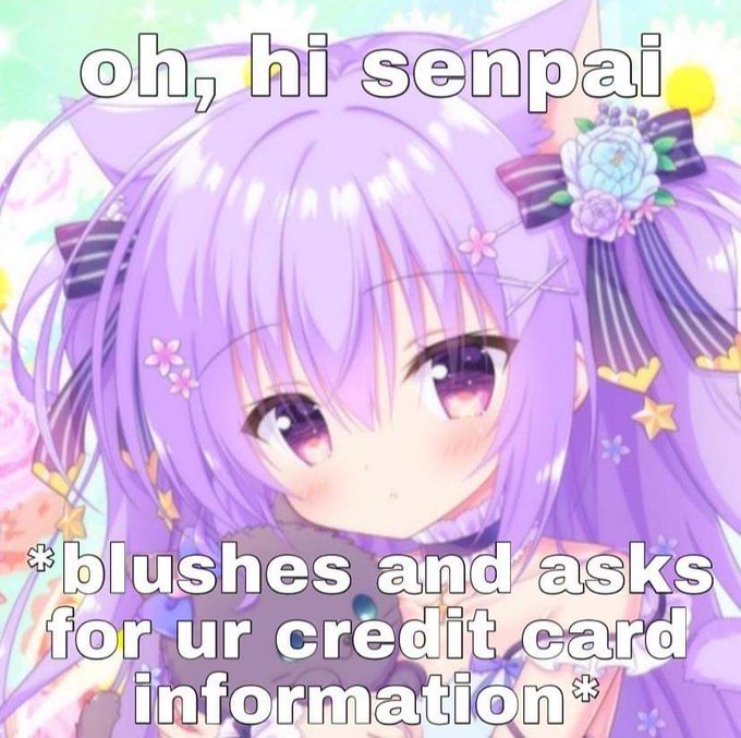 gimme your cc info, it'll be kawaii! ✨ https://t.co/WwXyOZwWQM