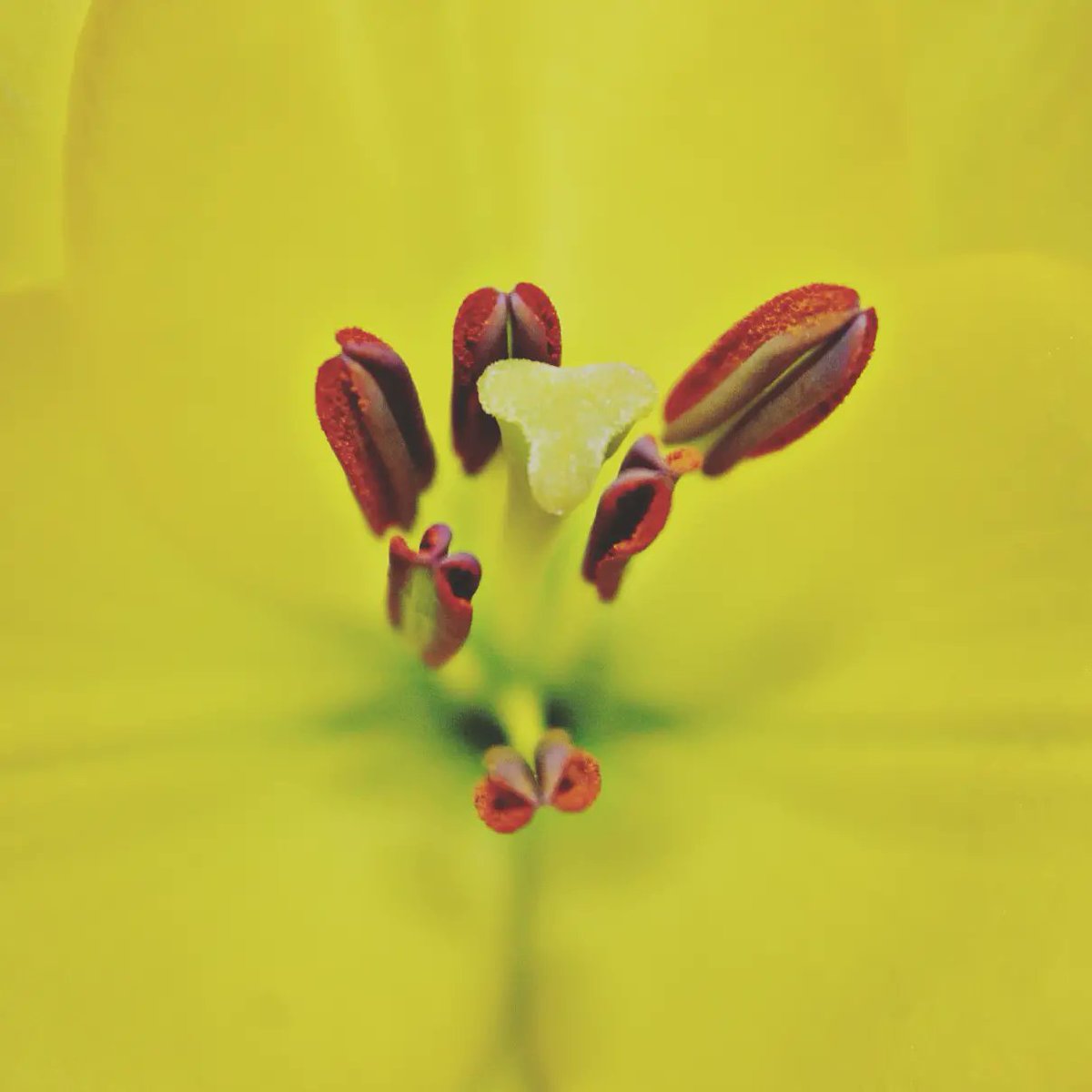 Artisticeye (myartisticeye) Twitter