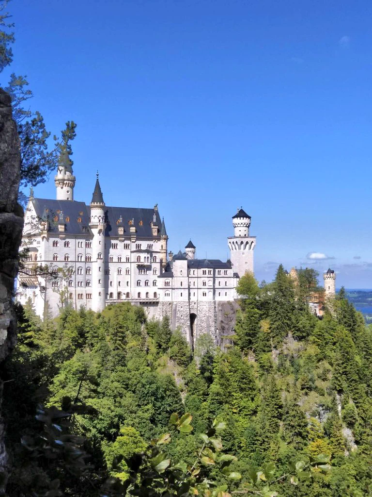 まさかこんな所にまで？！いらすとやの素材がドイツでも見つかる！！