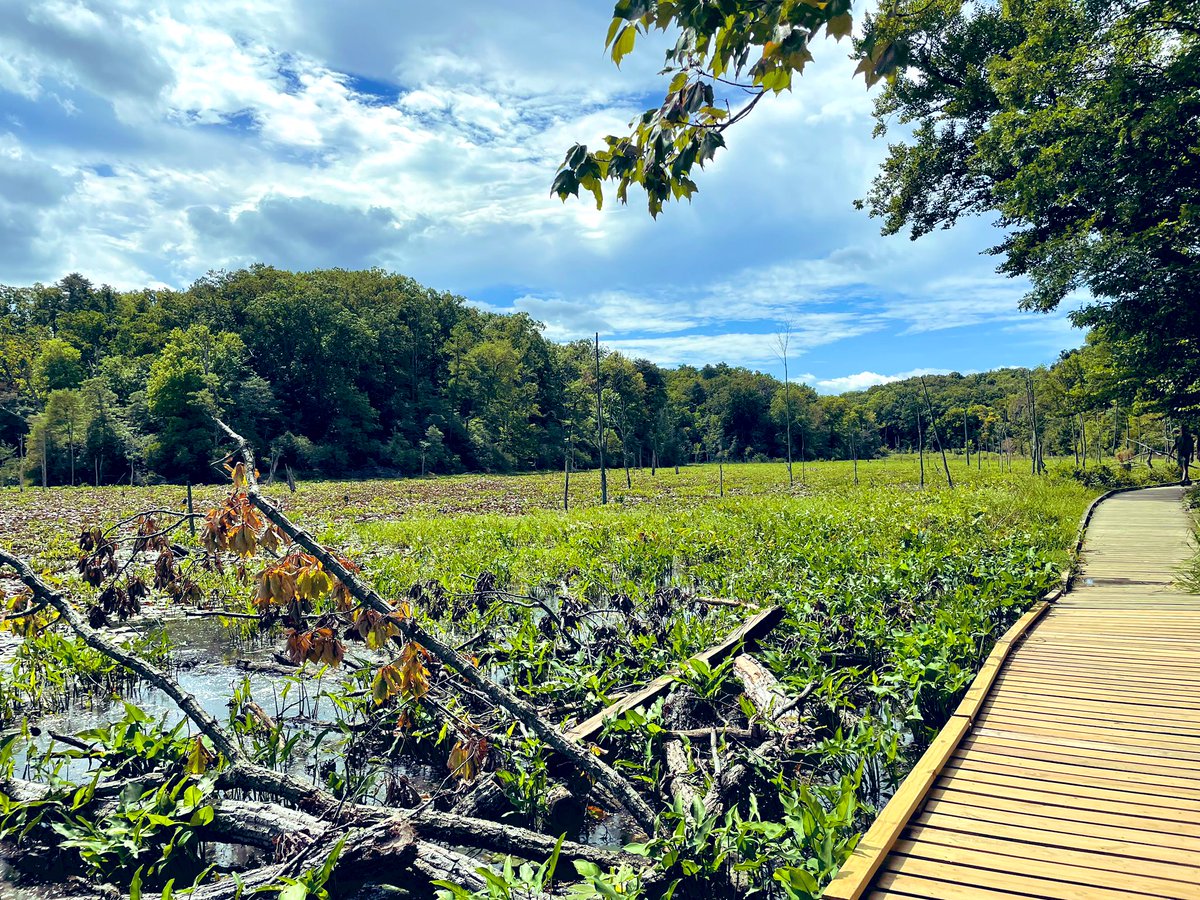 barrett_colombo's tweet photo. Long-weekend adventures  #chesapeakebay #estuarine #closedtocars #rockcreekpark https://t.co/Nk3cQBHExj