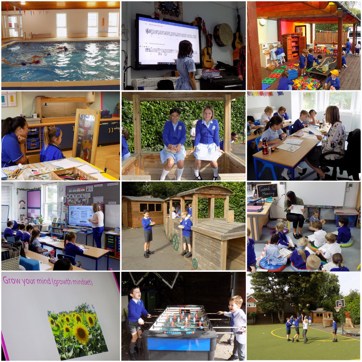 Danesfield Manor School tweet media