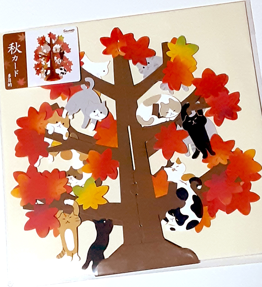 くみたてまえ～🍁🐱くみたてるまえもかわいい! 