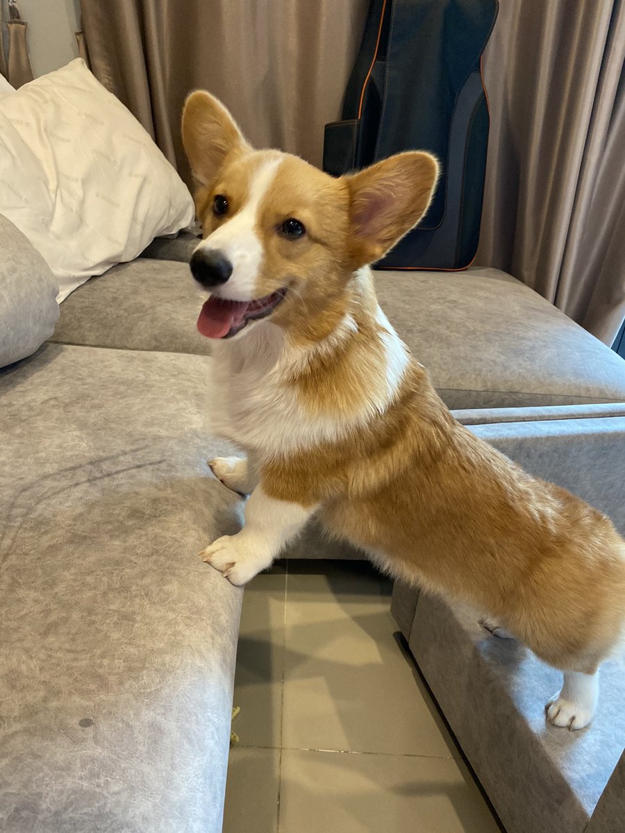 เป็นกำลังใจให้พส คนสวยขร่ะะ นวดๆ อาบน้ำอุ่นๆ นะคะ จะได้หายเหนื่อยย 😂💕<a href="/anneliciousxx/">ᴀɴɴᴇ •͈ ᴗ •͈ ✿</a>