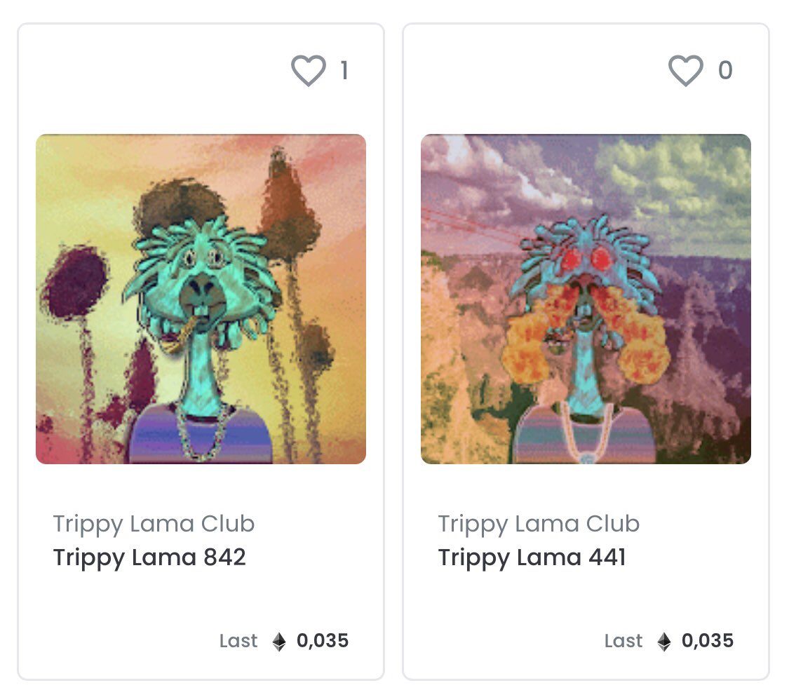 Trippy Lama Club 🦙 tweet media