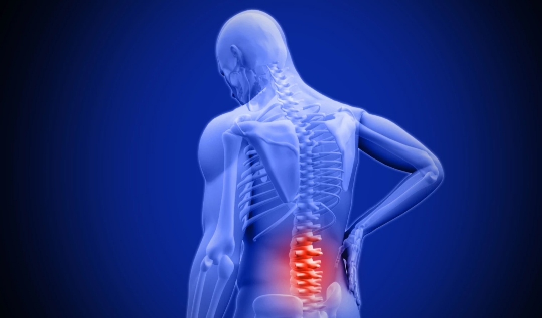 Cn1699's tweet image. Anti-aging drugs preserve spinal discs to target age-related back pain

#antiagingdrug #spinaldisc #backpain 

For more information |⬇️
buff.ly/38JGq4V