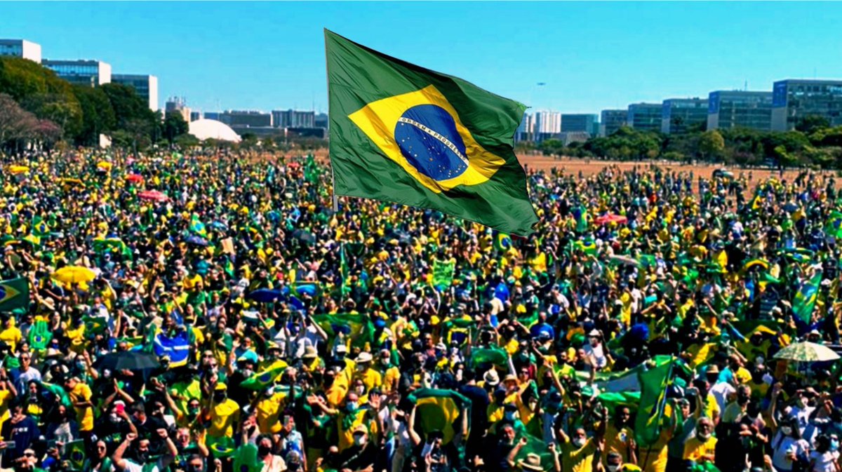 Raiva no brasil ilysam. №1 Brazil.