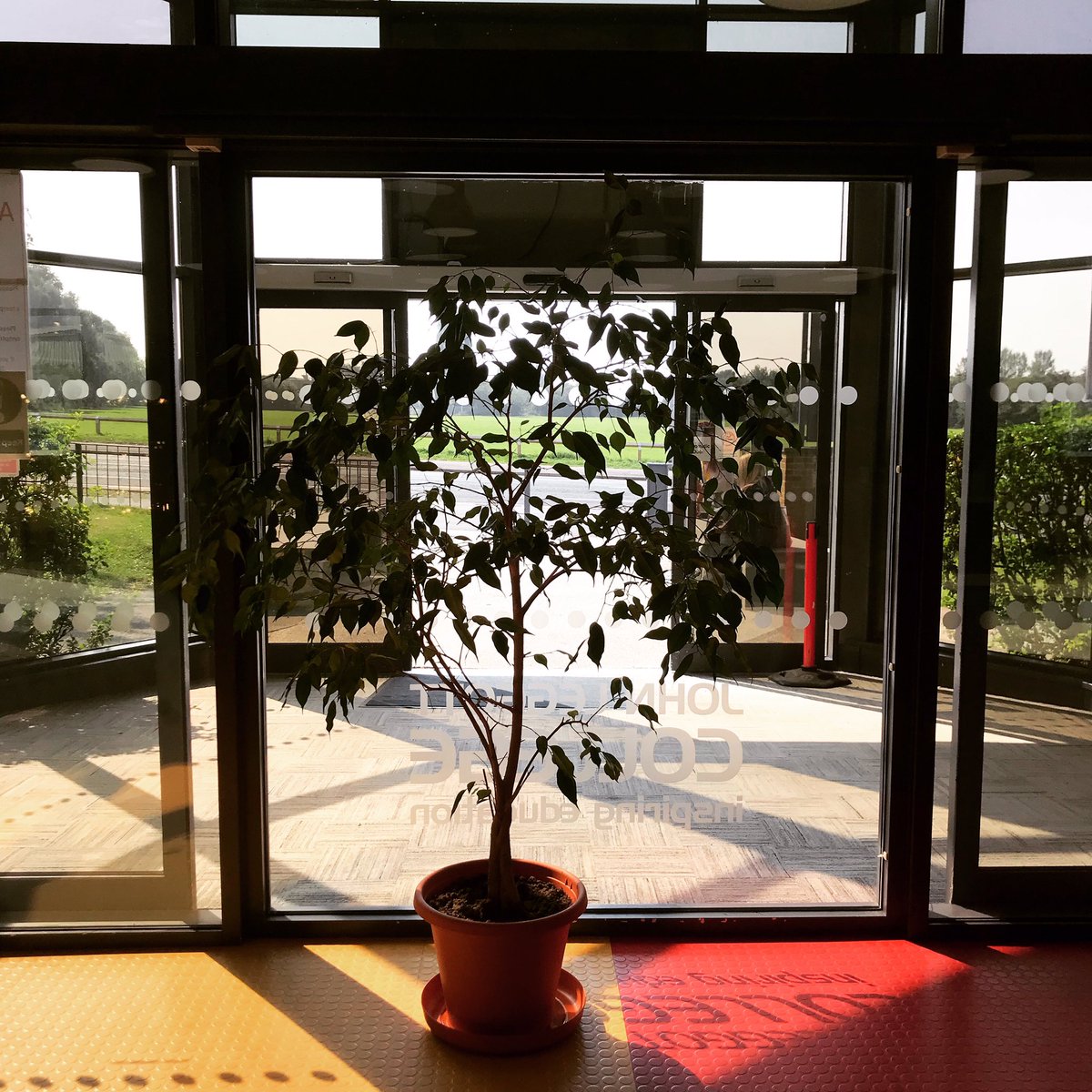 PushTalks's tweet photo. Walking past a tree of knowledge to start a new academic year of #collaborativeoutreach. What great motivation to launch into our @JohnLeggottColl session for #jlcfreshers new 1st years 🌲📚. @HOP_Humber #uniconnect #fairerfutures #furthereducation #proactivechoices #scunthorpe https://t.co/GNChyXsyr9