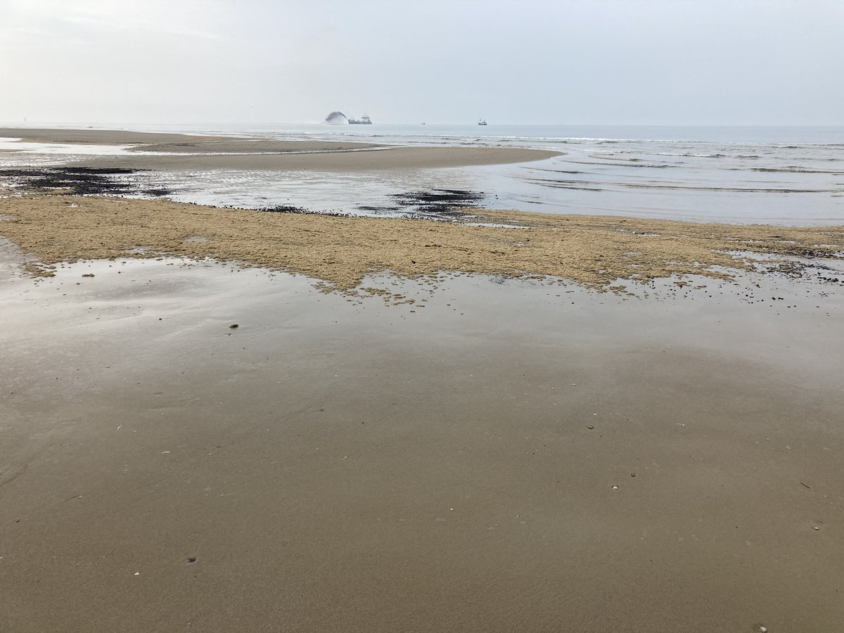 En zo wordt #texel weer een beetje groter #vooroeversuppletie