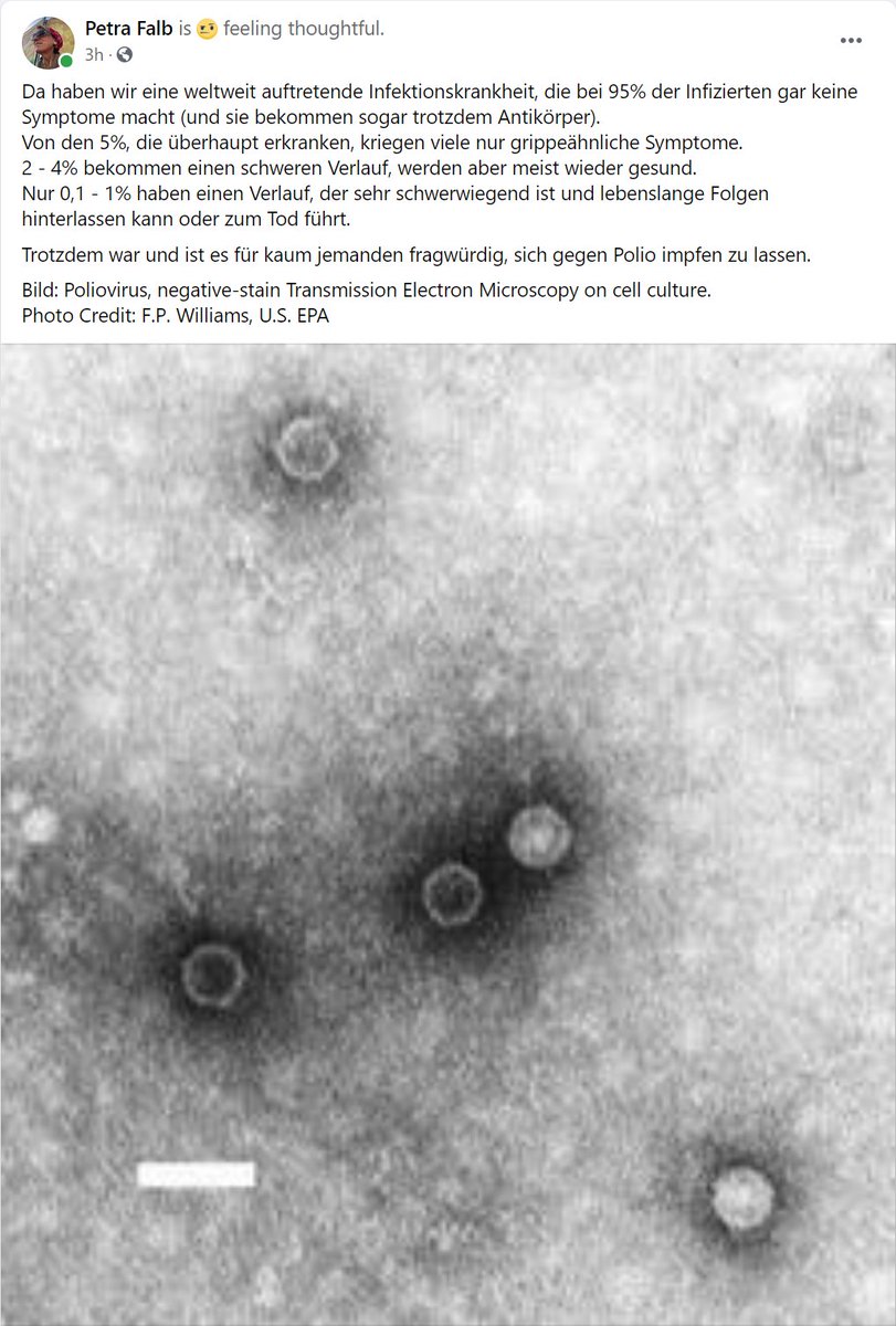 hummler's tweet photo. Da Petra Falb (Gutachterin zu Impfstoffen bei der EMA) dieses großartige Statement auf Facebook öffentlich geteilt hat, erlaube ich mir, es hier als Screenshot zu posten. https://t.co/2rTKi1eTYQ
