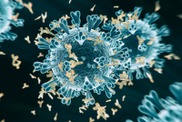 unipr's tweet photo. Domani #7settembre seminario di Luigi #Notarangelo, Direttore del Laboratorio di Immunologia Clinica e Microbiologia del National Institute of Health degli Stati Uniti, su #Immunologia e #COVID19
🗓️ Alle 15.30 su #Teams
#RicercaUnipr https://t.co/2iWpJbK0Yc