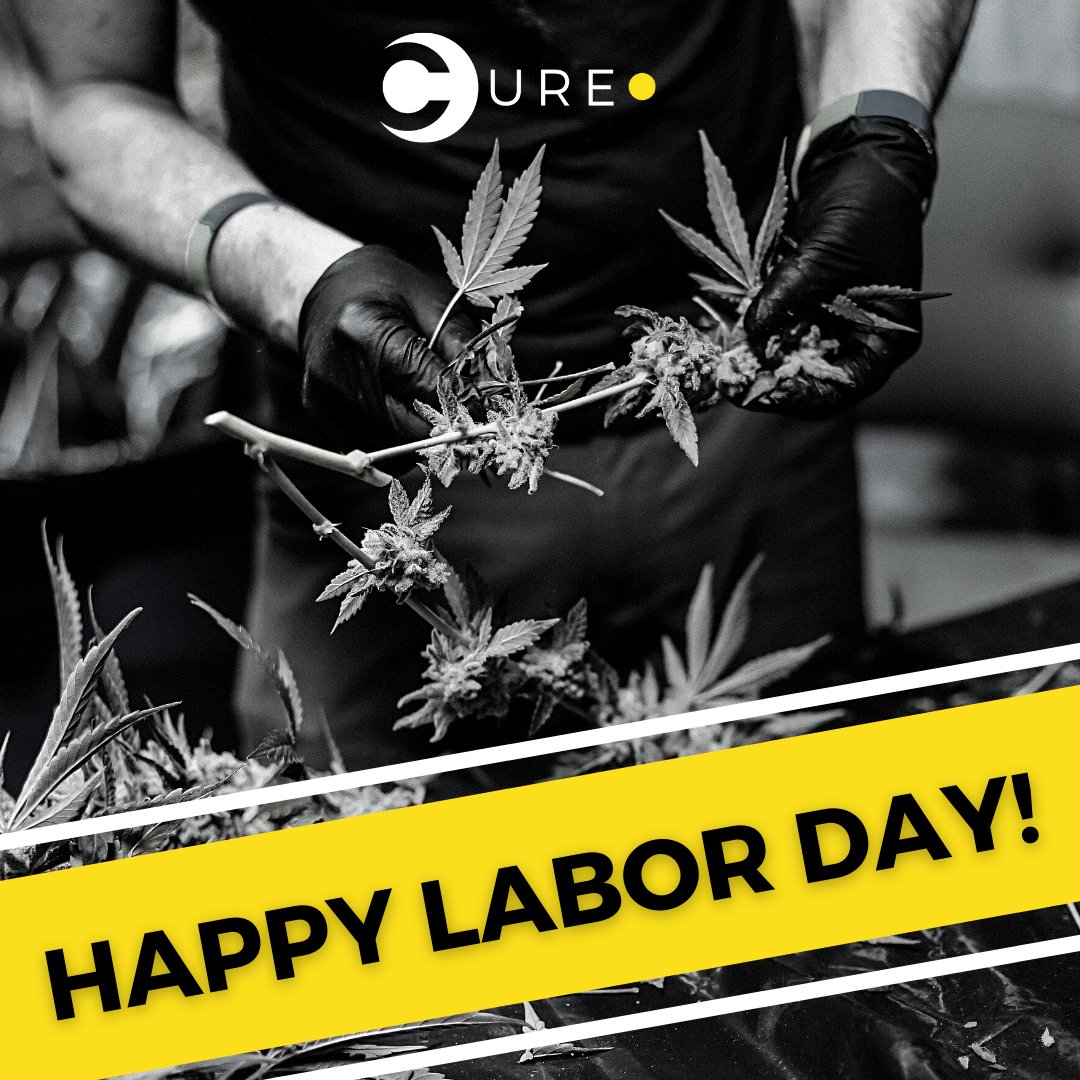 curepenn's tweet photo. Happy Labor Day from Cure! Today we honor and recognize the efforts of the American labor movement and the contribution laborers have made to the development and achievements of the United States. We hope everyone had a safe and fun holiday weekend! https://t.co/3ips2U0XYs