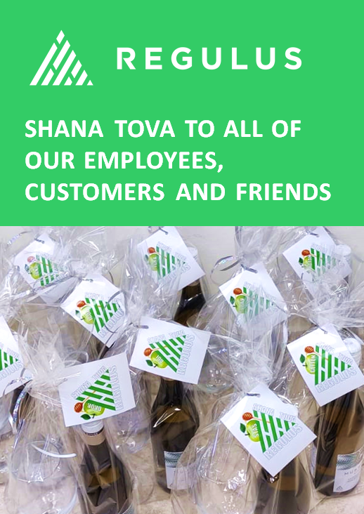 Regulus Cyber tweet media