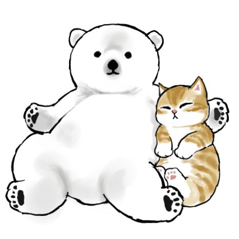 no humans polar bear bear animal looking at viewer cat animal focus  illustration images