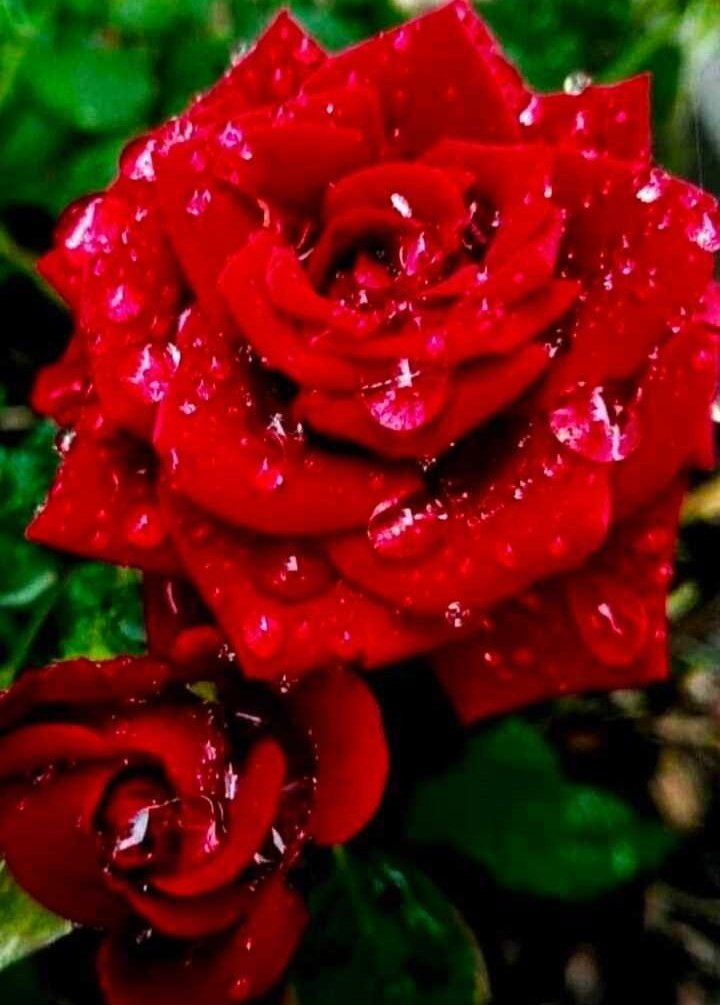 Archana8260's tweet photo. जो किस्मत में नहीं उसकेलिए रोने से क्या फायदा आर जो आपका ही उसको खोनेका डर केसा good evening friends keep smiling 😊 @RasmitaBhanja
#cuteline https://t.co/ERvh6zFpqi