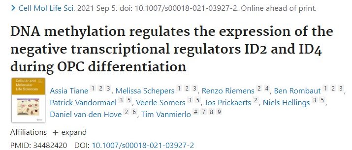 BIOMED_UHasselt (@biomed_uhasselt) on Twitter photo Further unraveling of the mechanisms behind OPC differentiation by our researchers (<a href="/TianeAssia/">Assia Tiane</a>, <a href="/VanmierloTim/">Tim Vanmierlo</a> lab)
Is your company working on products in the CNS space, more particularly remyelination? Don't hesitate to contact us if you need any help!
doi.org/10.1007/s00018… Further unraveling of the mechanisms behind OPC differentiation by our researchers (<a href="/TianeAssia/">Assia Tiane</a>, <a href="/VanmierloTim/">Tim Vanmierlo</a> lab)
Is your company working on products in the CNS space, more particularly remyelination? Don't hesitate to contact us if you need any help!
doi.org/10.1007/s00018…