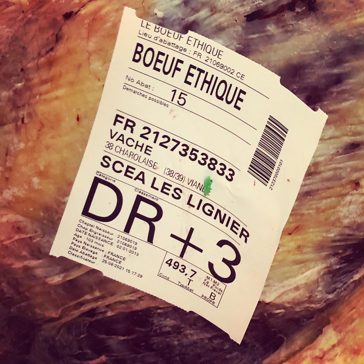 ☀️ 𝐔𝐧 𝐠𝐫𝐚𝐧𝐝𝐞 𝐧𝐨𝐮𝐯𝐞𝐥𝐥𝐞 𝐚̀ 𝐯𝐨𝐮𝐬 𝐚𝐧𝐧𝐨𝐧𝐜𝐞𝐫 !
Après une longue attente, notre abattoir mobile pour bovins, le tout premier de France, est enfin opérationnel ! Les premiers tests d'abattage ont eu lieu avec succès dans un immense respect des animaux !