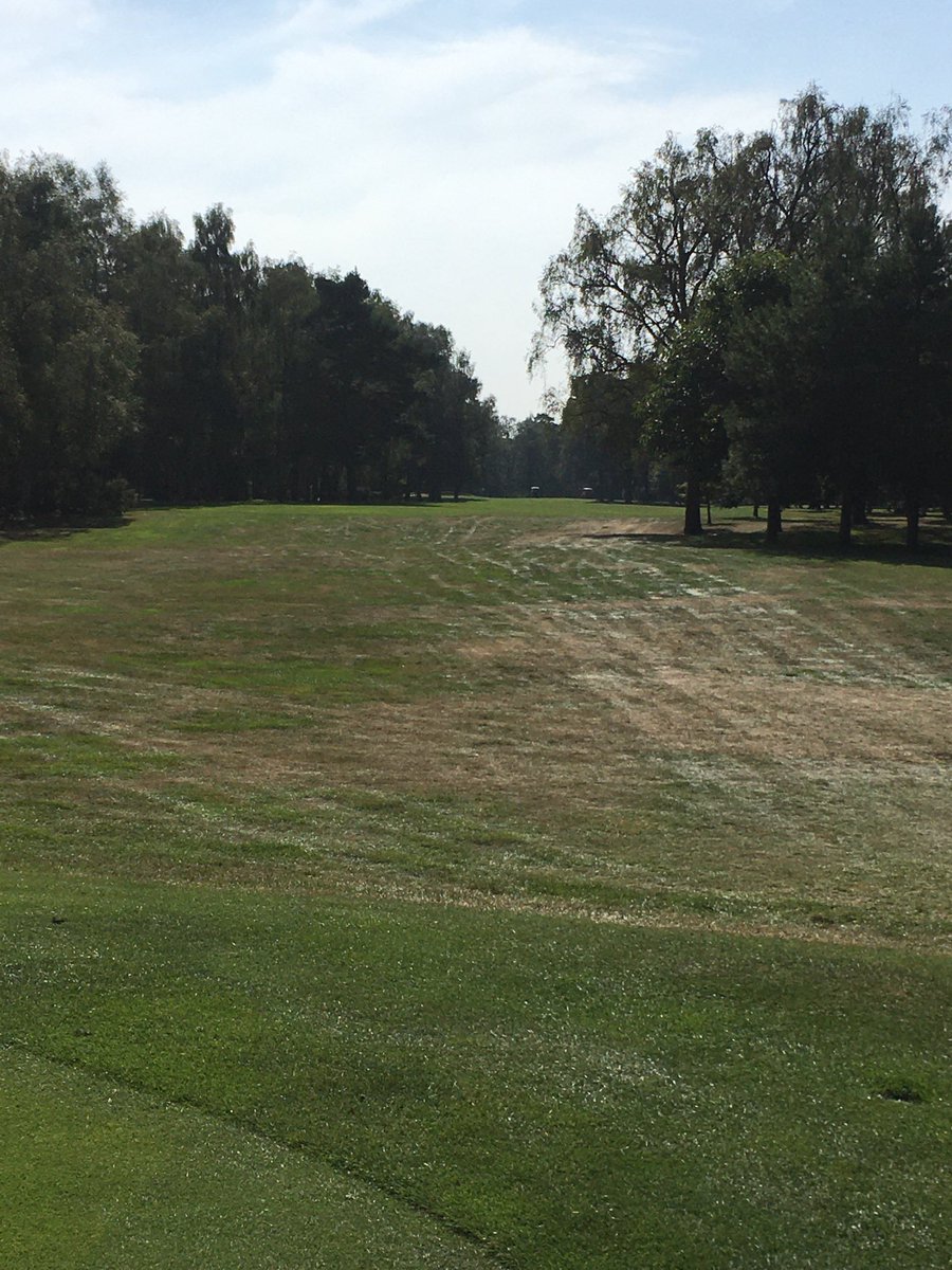 ianmatty1's tweet photo. Worse places to be on a Monday Woburn https://t.co/1zsV7sfS6u
