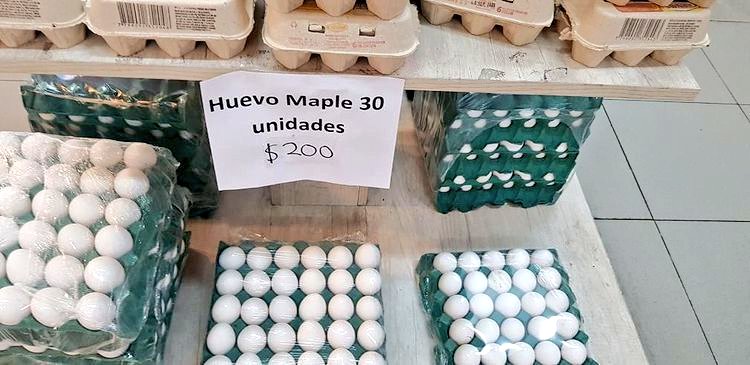 PreciosRosario2's tweet photo. #HuevosEnRosario 🥚
🥚 Maple de huevos
📍 Santa Fe 2100 (#Carnave)
💰 $200 (#ABSF)
¿A cuánto en tu barrio?
👉 Increíble que haya que aclarar que el maple trae 30 huevos! No me vengan con el maple de 20 😳
#FotoTestigo 📸 https://t.co/O2zlHHUUUu