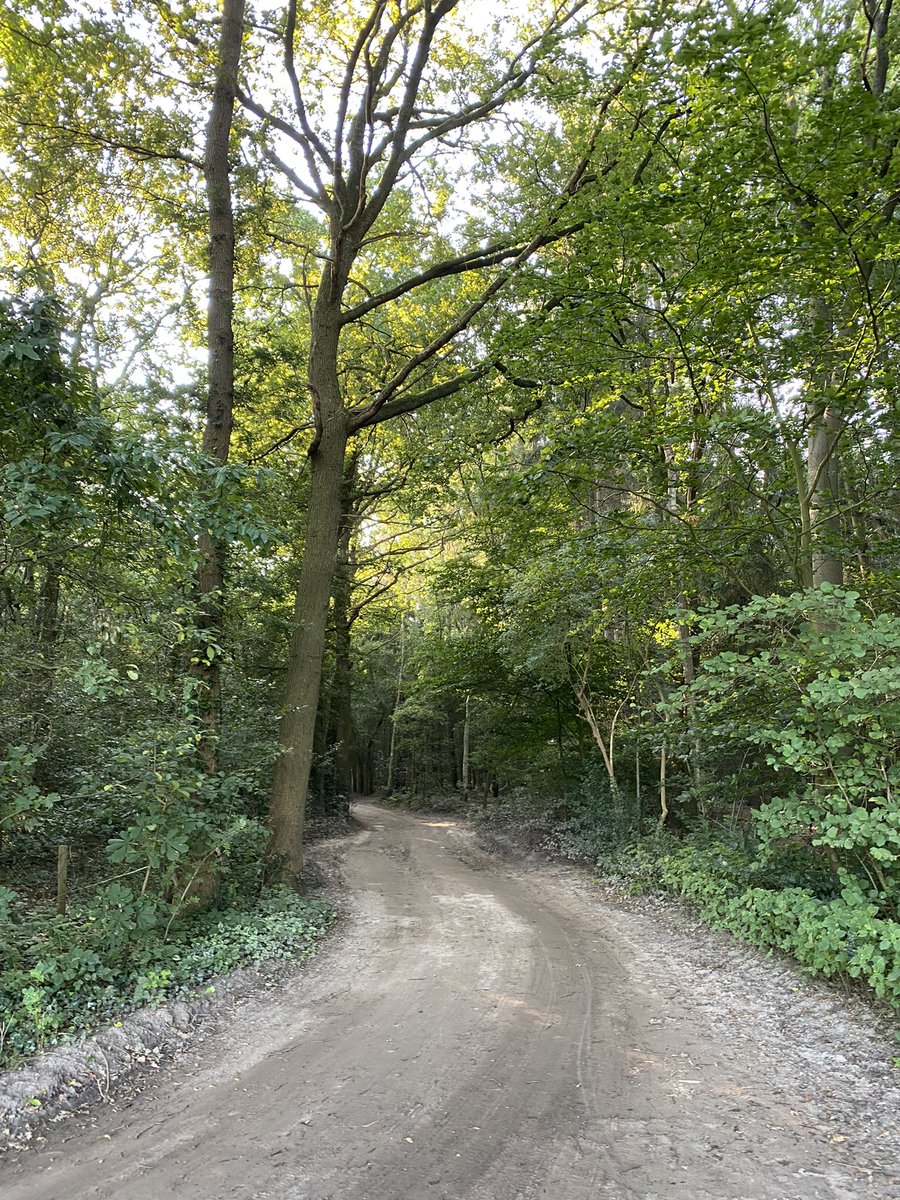 Woonwijk in buitengebied, natuurgebied..deze woonwijk op de Husselsesteeg 22  krijgt teveel woningen, hier komen straks elke dag heel veel auto’s overheen. Hier dit eeuwenoude stukje natuur, wandelgebied bij centrum Putten.. spaar het. Ga een woonwijk realiseren waar ruimte is