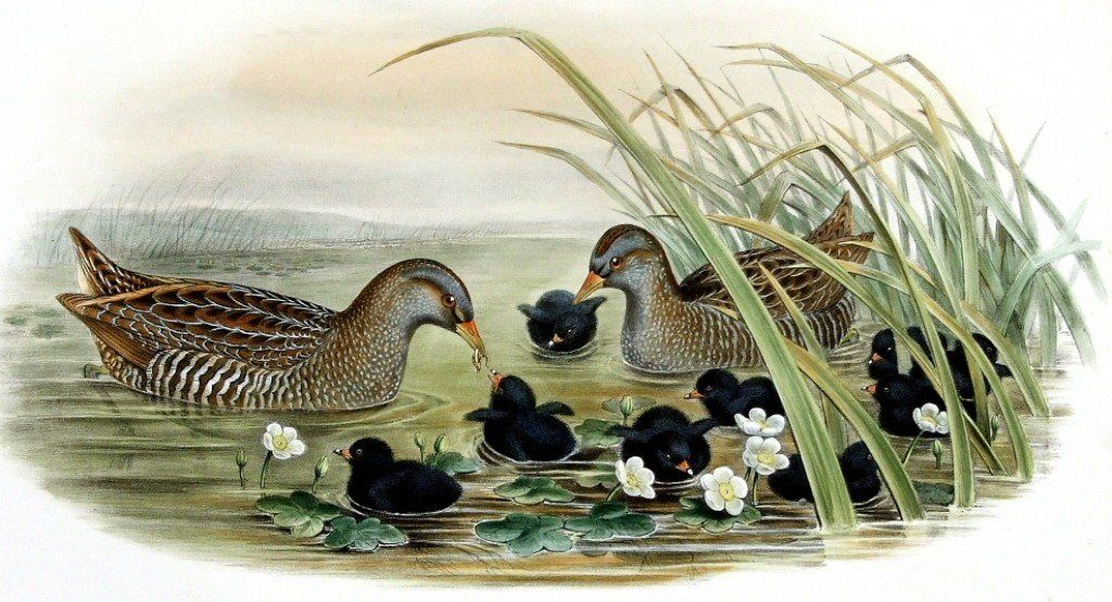 Carla Chadwick tweet media