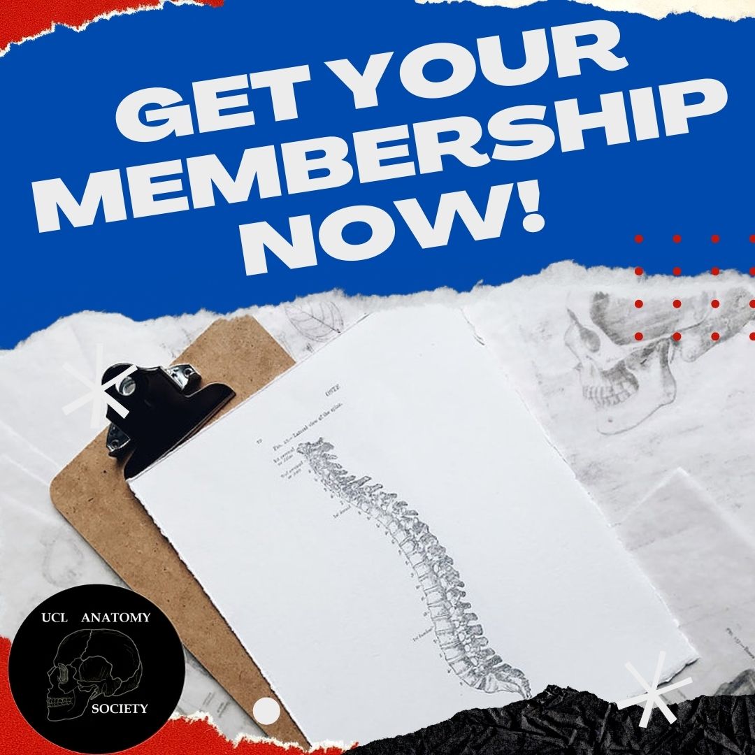 REMOTE:
- FREE membership
- access to our virtual events 

STANDARD: 
- Costs only £5
- access to online and in person events 
- Perks such as early/ discounted tickets for our conference and exhibition. 
- Can sign up for our new research bursary and access our research helpline