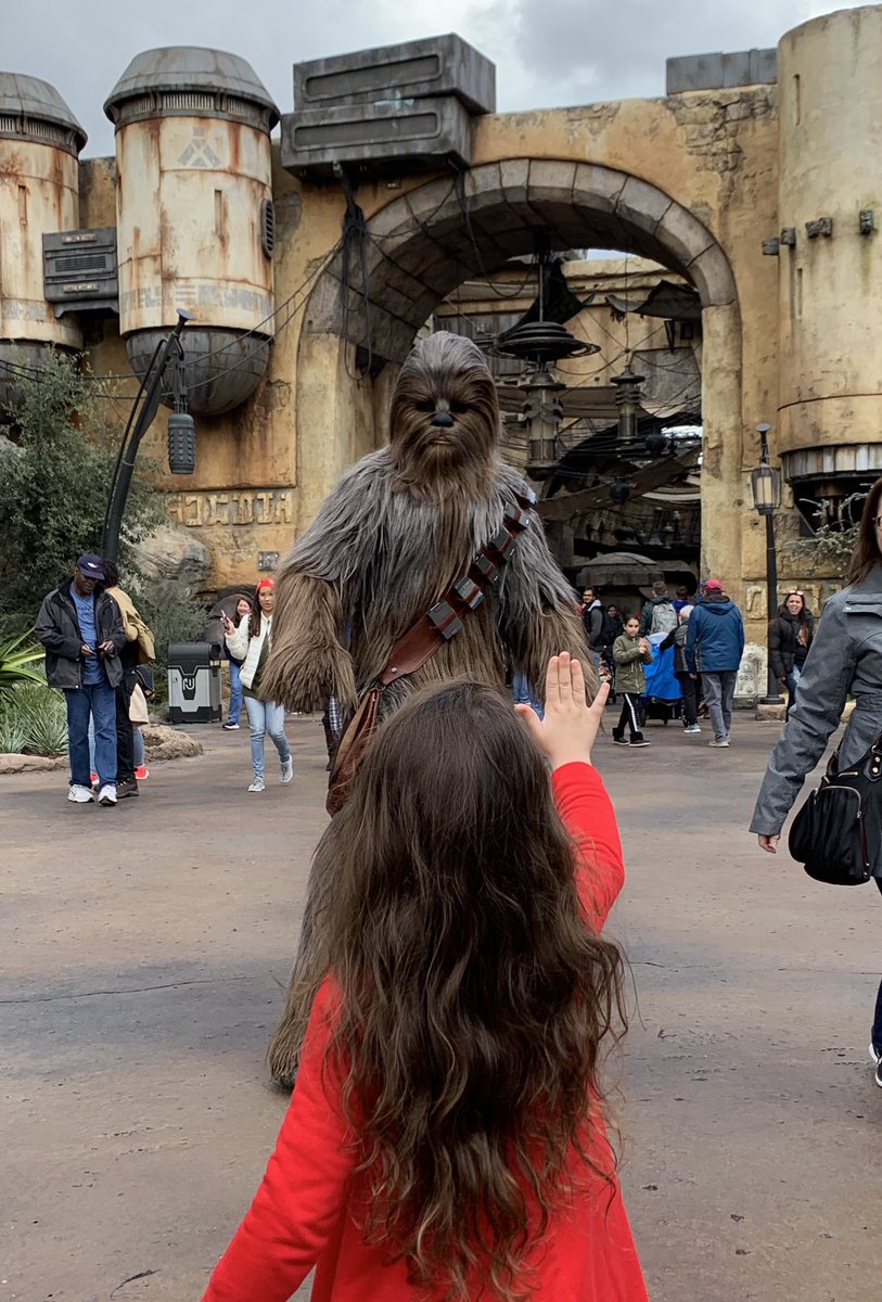 JamesSalsman's tweet photo. Wow, this little girl is STRONG 💪🏼 with the force! She stopped Chubacca dead in his tracks‼️ 👀 wow😱 #TheForce #Chubacca #StarWars #DisneyLand #GirlWithThePower #UseTheForce #YoungPadawan #ThemePark https://t.co/i3xcTQU2sT