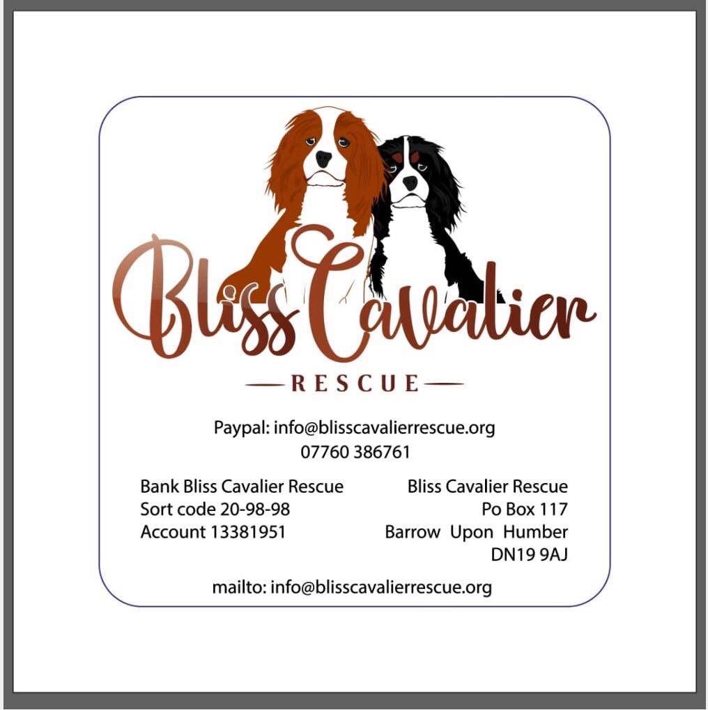 We really, really need your help, things have become so ridiculously hard 😞 Our vet bills for August came to £13,206.

Unless we can raise funds quickly we will have to stop taking dogs into rescue 💔 If you can please help with a small donation it would really help