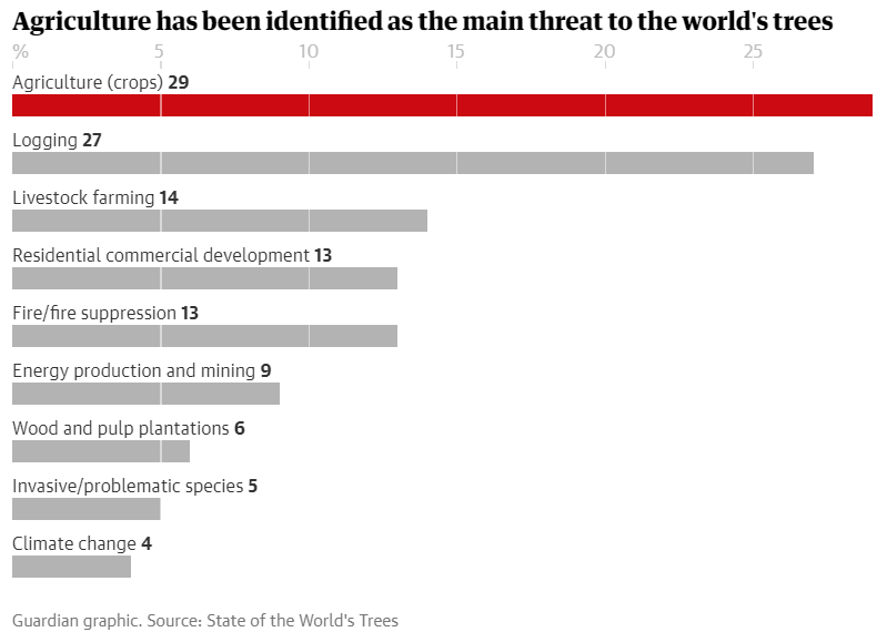 WangShenglii's tweet photo. @guardian A few days ago was released the first #GlobalTreeAssessment report by @bgci.
It warns that globally the major threat for trees are farming and logging. #ClimateChange has also a measurable influence.
Source: https://t.co/aPD89aG6Pn https://t.co/JOpVGXLett