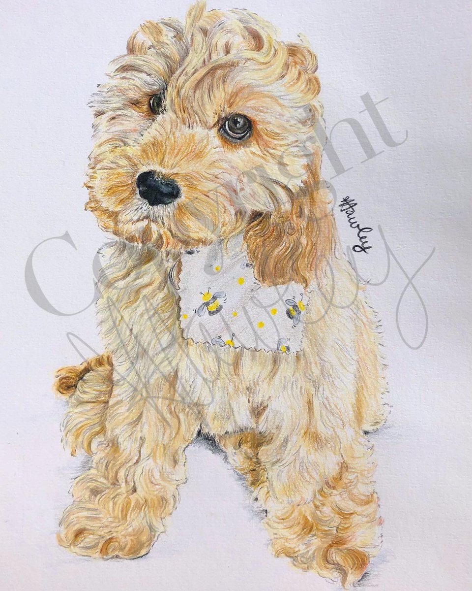 HannahHawleyArt tweet media