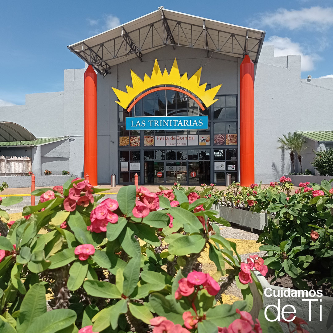 ccltrinitarias's tweet photo. "La felicidad es interior, no exterior; por lo tanto, no depende de lo que tenemos, sino de lo que somos." Henry Van Dyke
Esta nueva semana radical laboramos de 9am hasta la 1pm, siempre cuidando de la seguridad y la de los tuyos #EnLasTrini #CuidamosDeTi 🧡 https://t.co/94bM45mGQy