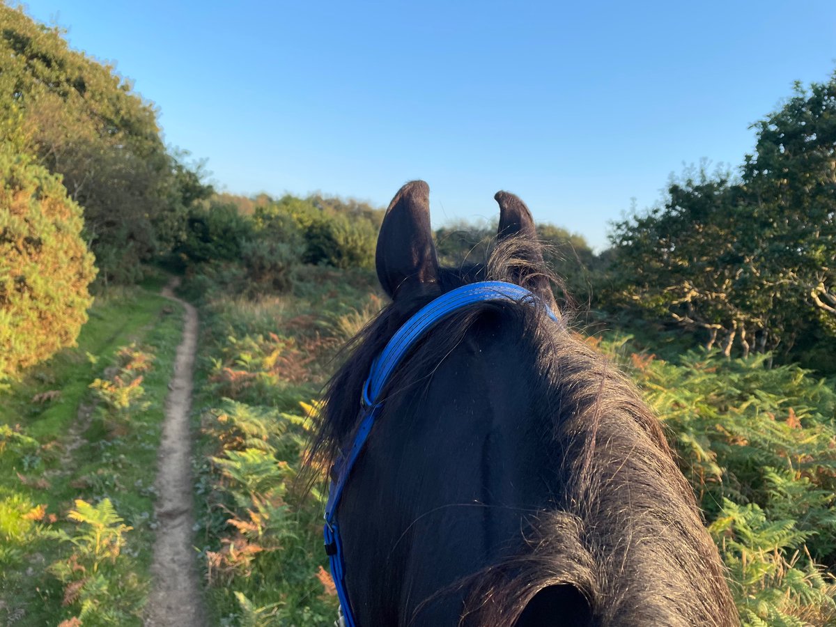 Claridge tweet media