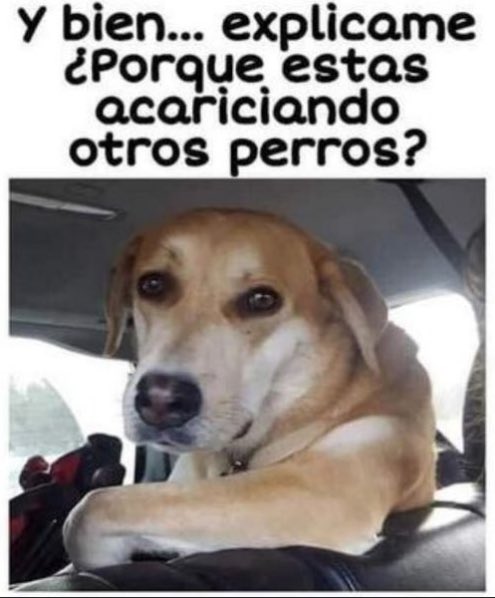 TheRandom_Memes's tweet image. 