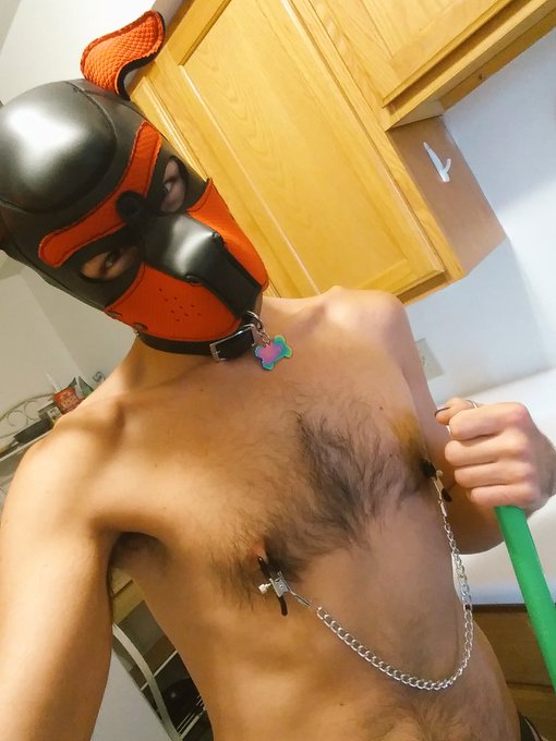 1 pic. I lost focus...so I got the clamps ? gotnthe dishes D.O.N.E!!! Now...onto the sweeping.

#puppyplaycommunity
