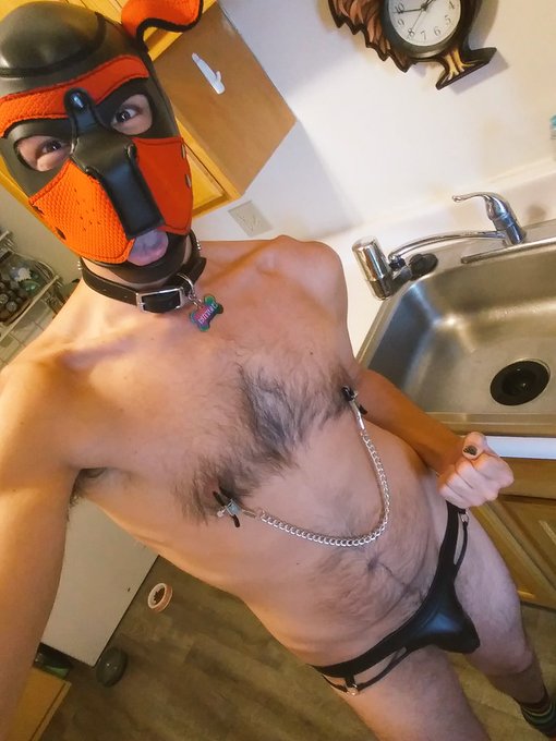 2 pic. I lost focus...so I got the clamps ? gotnthe dishes D.O.N.E!!! Now...onto the sweeping.

#puppyplaycommunity