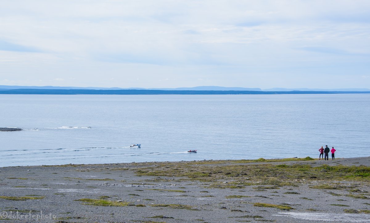 DonnieOK's tweet photo. What a day on the #water #fishing #codjigging #nlwx #PortAuChoix #Newfoundland @VikingTrail #GNP amazing place we call home! https://t.co/yZSj6Qcs08