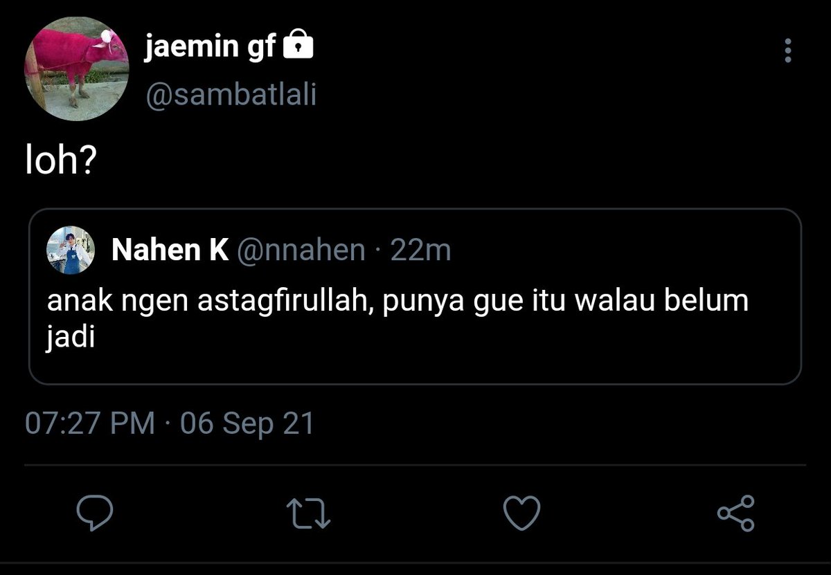 liaaa tweet media