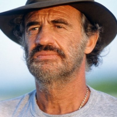 On a tous notre #Belmondo. Il est notre singe en hiver, notre homme de Rio, notre professionnel, notre incorrigible, notre magnifique, notre héritier, notre as des as… Il est Michel Poiccard, Pierrot, Léon, Stavisky, Capella, Borowitz… Pour moi il est à tout jamais Sam Lion